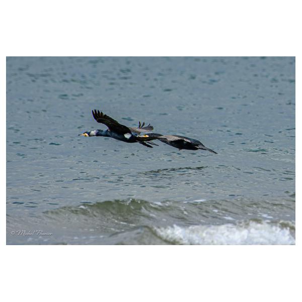 PHOTO84, CLUB, 84 , LUBERON